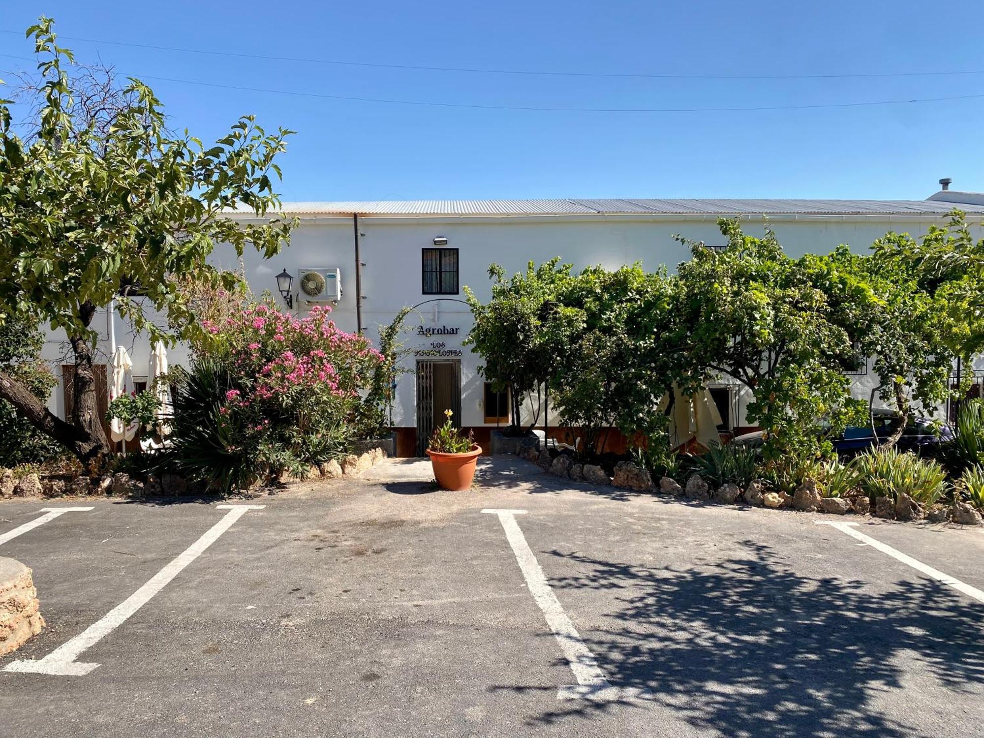 Alojamiento Rural Mar De Olivos Castril Exterior photo
